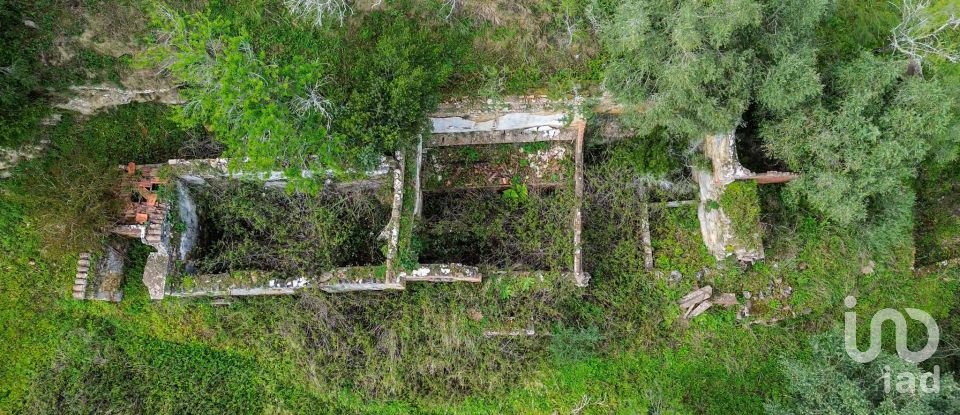 Land in Quinta do Anjo of 27,650 m²