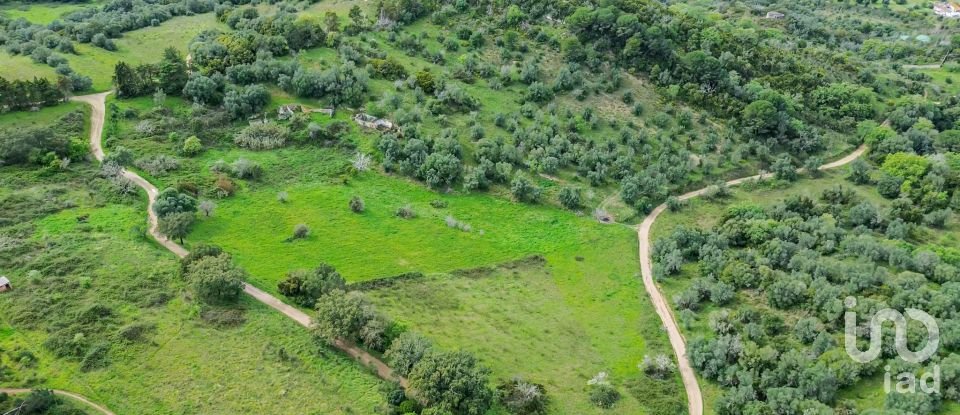 Land in Quinta do Anjo of 27,650 m²