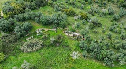 Terrain à Quinta do Anjo de 27 650 m²