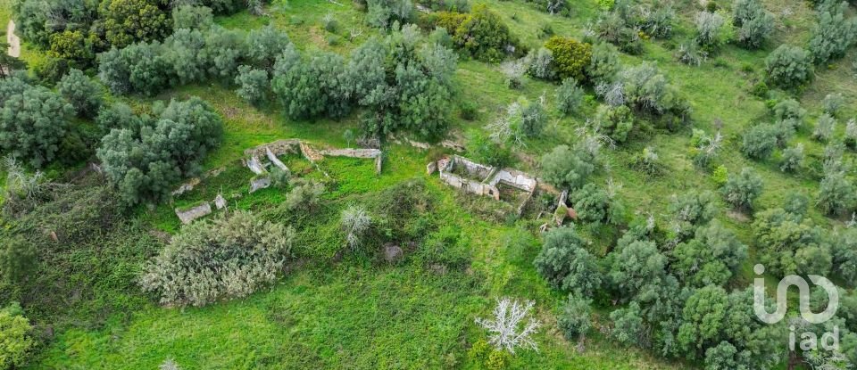 Land in Quinta do Anjo of 27,650 m²