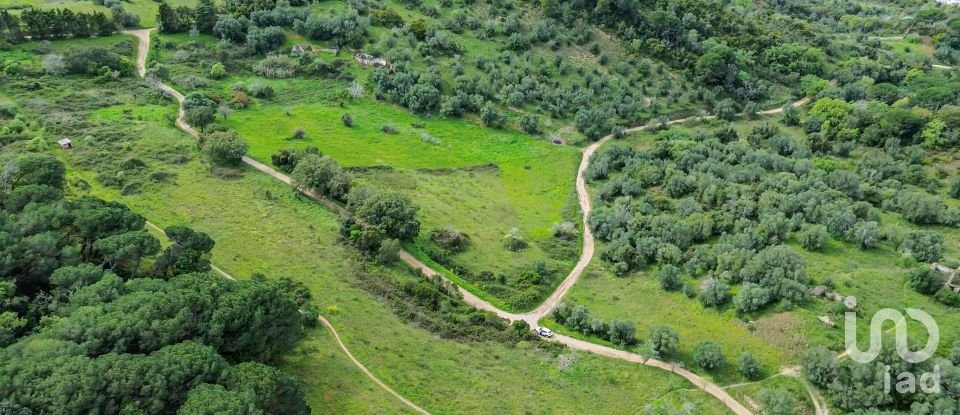 Land in Quinta do Anjo of 27,650 m²