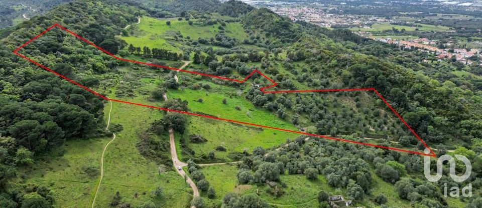 Land in Quinta do Anjo of 27,650 m²