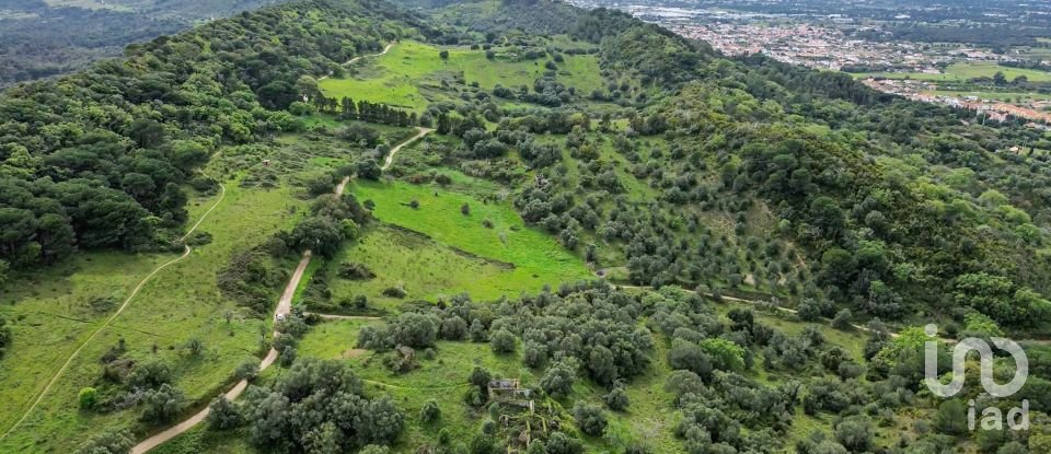 Land in Quinta do Anjo of 27,650 m²