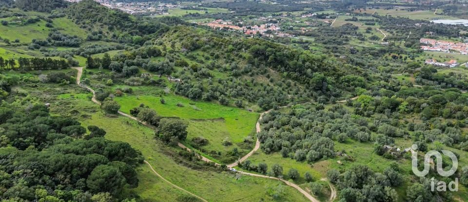 Land in Quinta do Anjo of 27,650 m²