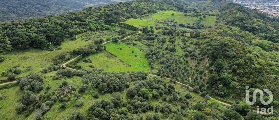 Land in Quinta do Anjo of 27,650 m²