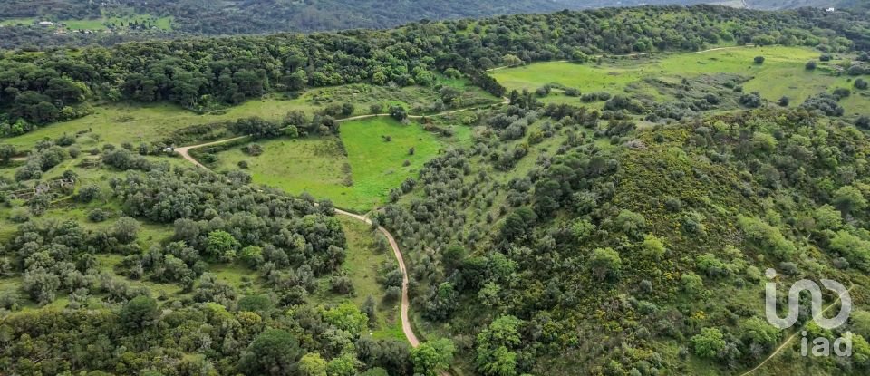 Land in Quinta do Anjo of 27,650 m²