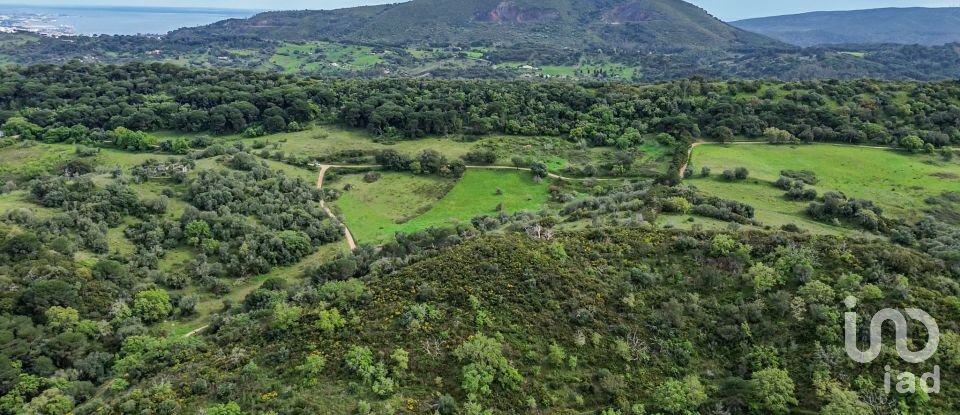 Land in Quinta do Anjo of 27,650 m²