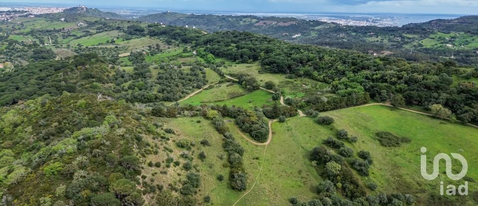 Land in Quinta do Anjo of 27,650 m²