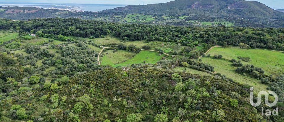 Land in Quinta do Anjo of 27,650 m²