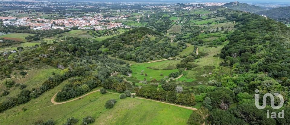 Land in Quinta do Anjo of 27,650 m²
