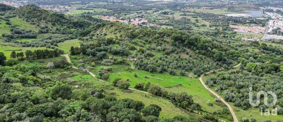 Land in Quinta do Anjo of 27,650 m²
