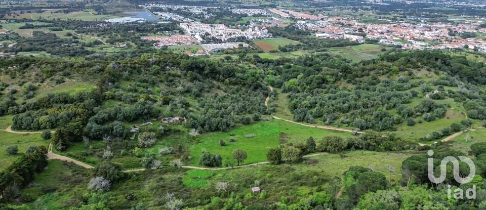 Land in Quinta do Anjo of 27,650 m²