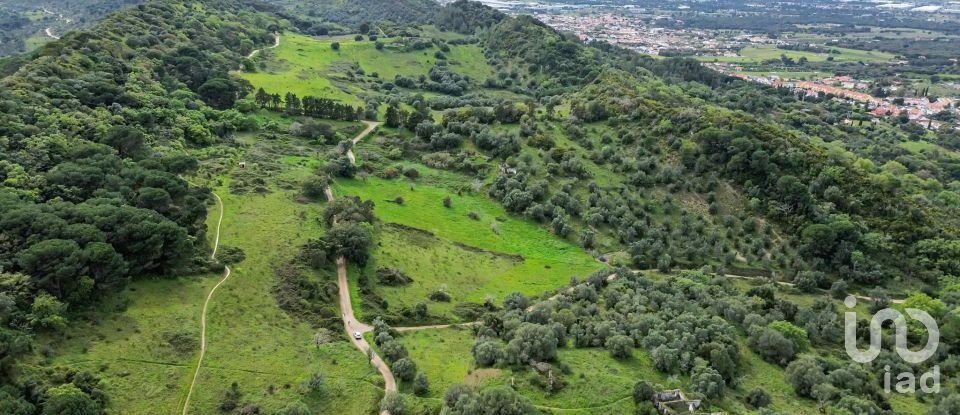 Land in Quinta do Anjo of 27,650 m²