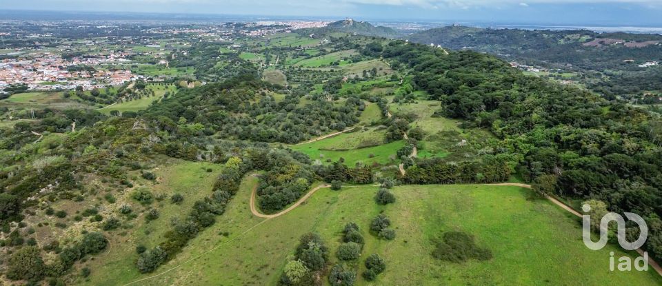 Land in Quinta do Anjo of 27,650 m²