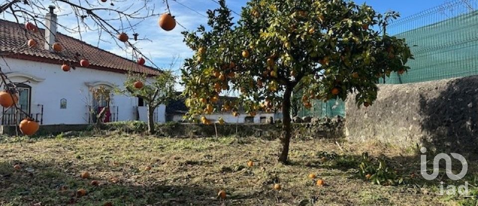 Casa de Campo T3 em Abiul de 224 m²