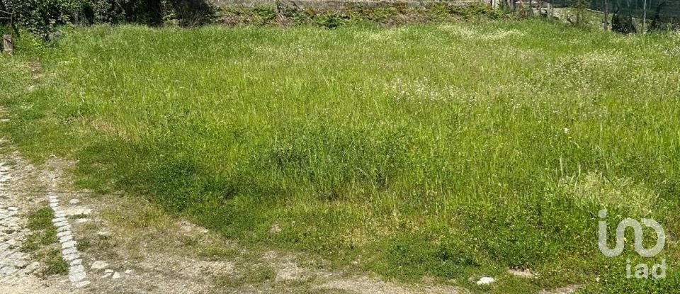 Terreno urbano em Parada de Cunhos de 439 m²