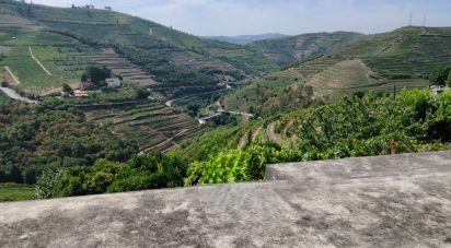 House T2 in Sever of 118 m²