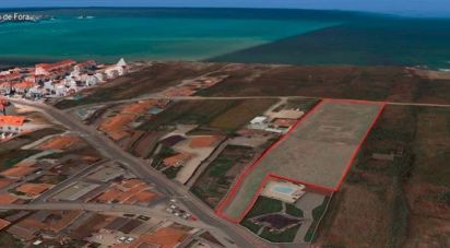 Terrain à Ferrel de 8 062 m²