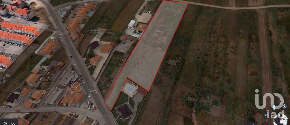 Terreno em Ferrel de 8 062 m²