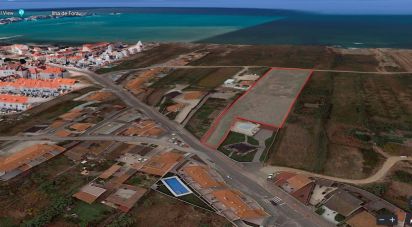 Terrain à Ferrel de 8 062 m²