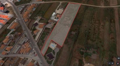 Terrain à Ferrel de 8 062 m²