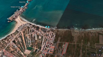 Terrain à Ferrel de 8 062 m²