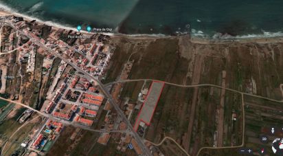 Terrain à Ferrel de 8 062 m²