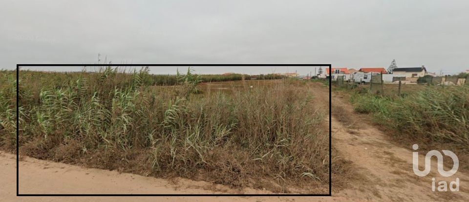 Terreno em Ferrel de 8 062 m²