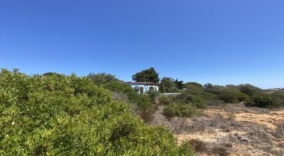 Terrain à Sagres de 9 440 m²