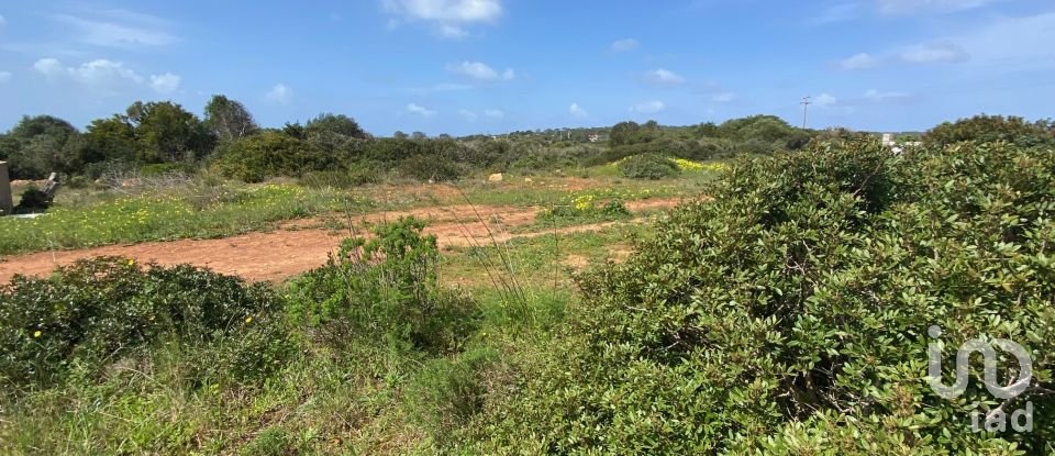 Terrain à Sagres de 9 440 m²