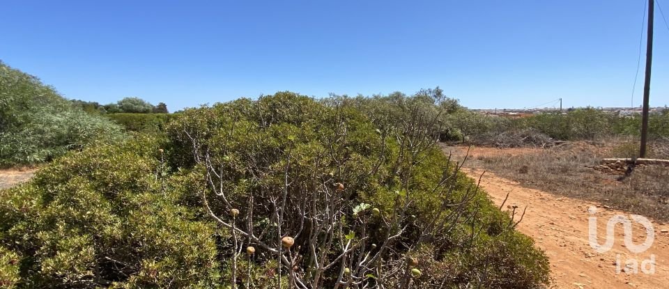 Terrain à Sagres de 9 440 m²