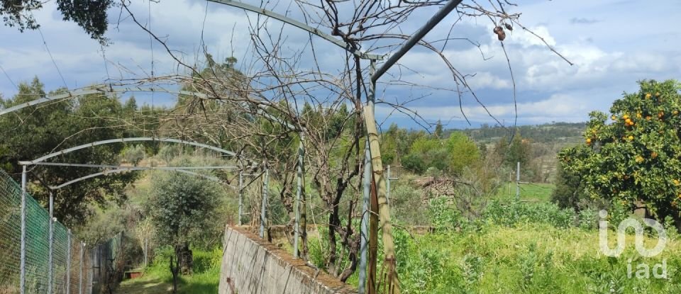 Moradia T5 em Covas e Vila Nova de Oliveirinha de 243 m²