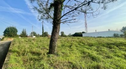 Terrain à Arrifana de 990 m²