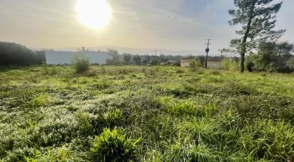 Terrain à Arrifana de 990 m²