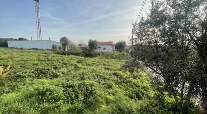 Terrain à Arrifana de 990 m²