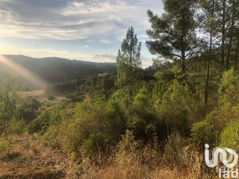 Terreno rústico em Vinhais de 7 000 m²
