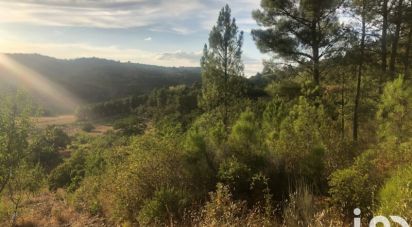 Terrain agricole à Vinhais de 7 000 m²