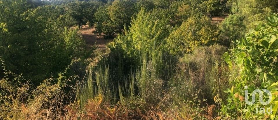 Terreno rústico em Vinhais de 7 000 m²