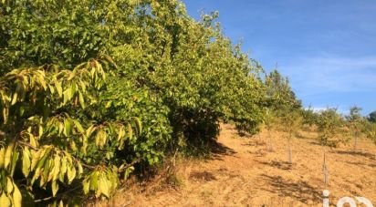 Terrain agricole à Vinhais de 7 000 m²