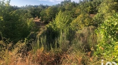 Terrain agricole à Vinhais de 7 000 m²