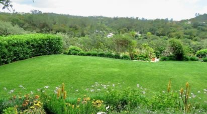 Maison T6 à Querença, Tôr e Benafim de 399 m²