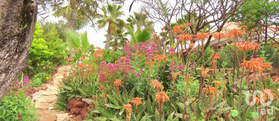 Maison T6 à Querença, Tôr e Benafim de 399 m²