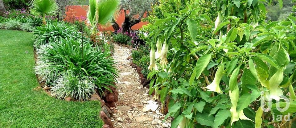 Maison T6 à Querença, Tôr e Benafim de 399 m²