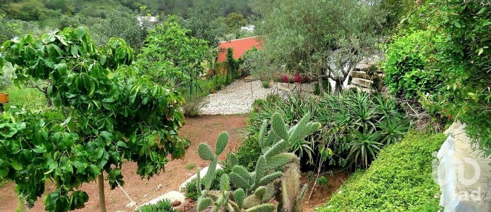 Maison T6 à Querença, Tôr e Benafim de 399 m²