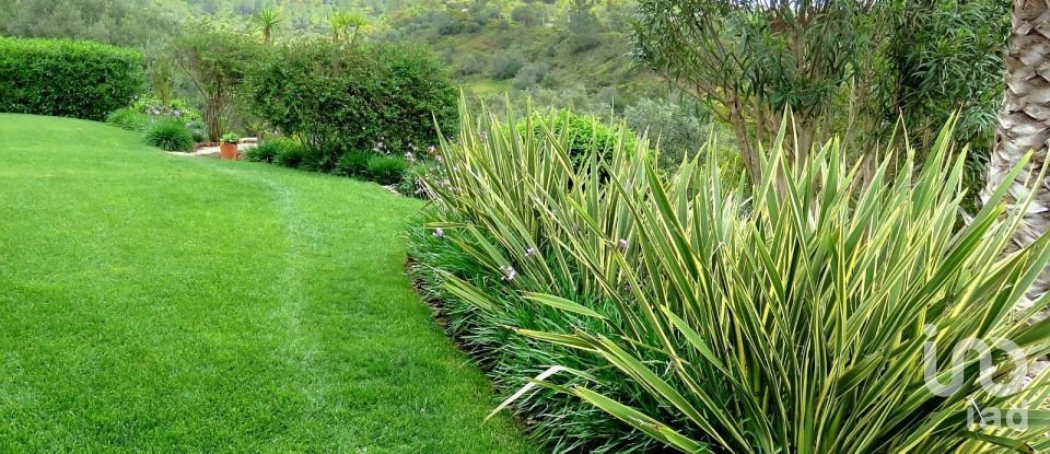 Maison T6 à Querença, Tôr e Benafim de 399 m²