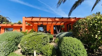 Demeure T3 à Sagres de 180 m²