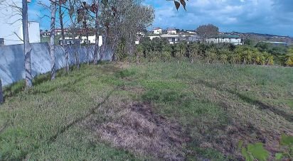 Terrain à Lourinhã e Atalaia de 2 408 m²