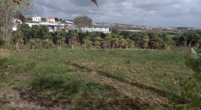 Terrain à Lourinhã e Atalaia de 2 408 m²