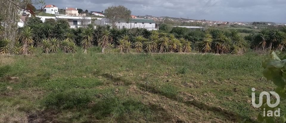 Terreno em Lourinhã e Atalaia de 2 408 m²