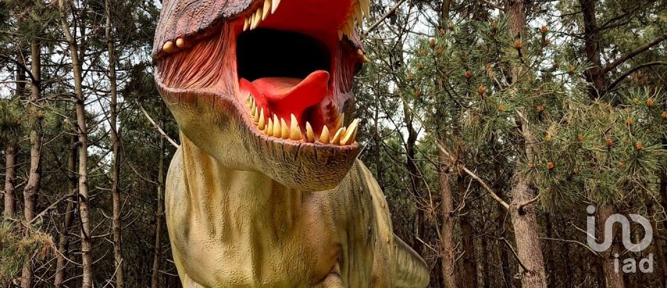 Terreno em Lourinhã e Atalaia de 2 408 m²